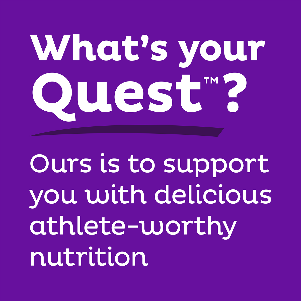 double-chocolate-chunk-protein-bars-q7 qst-000241_double-chocolate-chunk-protein-bars_9.png
